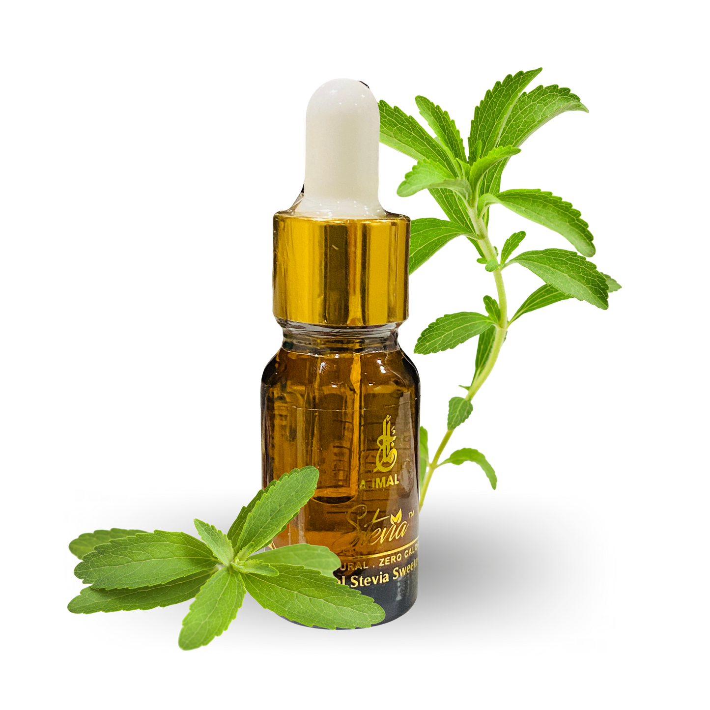 STEVIA AJMAL