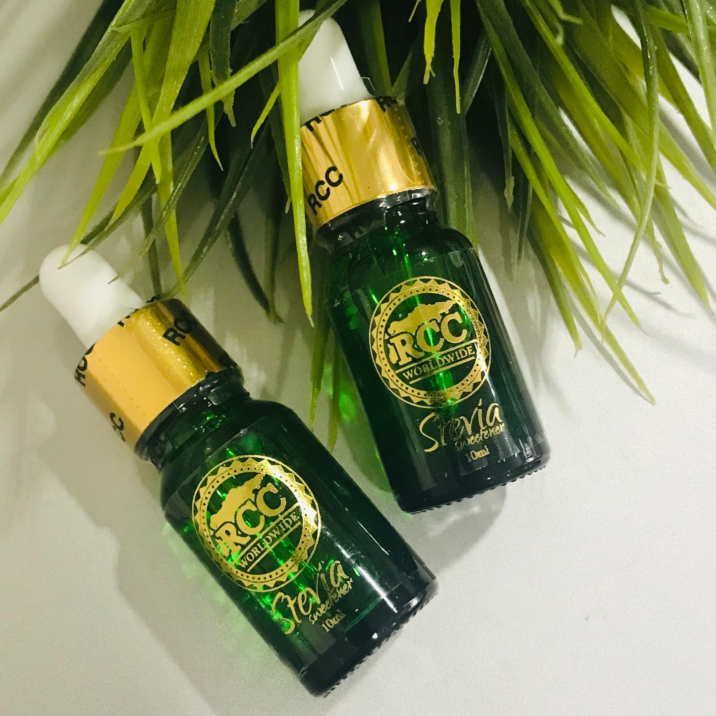 STEVIA RCC